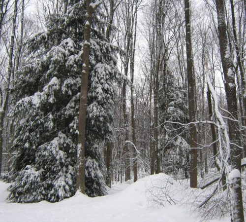 Winter at The Barn on Lake Shore, a Deep Creek Lake Vacation Rental Winter at The Barn on Lake Shore, a Deep Creek Lake Vacation Rental