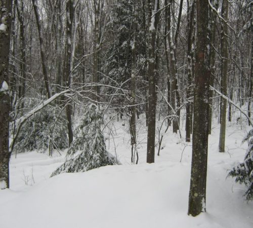 Winter at The Barn on Lake Shore, a Deep Creek Lake Vacation Rental Winter at The Barn on Lake Shore, a Deep Creek Lake Vacation Rental